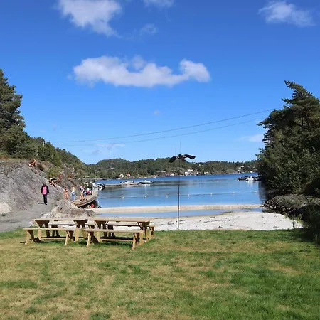 9 Person In * Tvedestrand