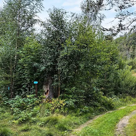 9 Person In Tvedestrand