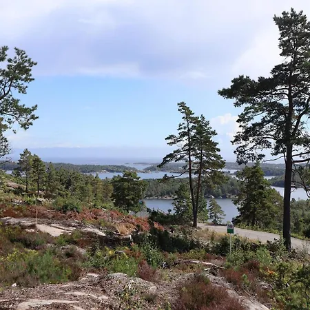9 Person In * Tvedestrand